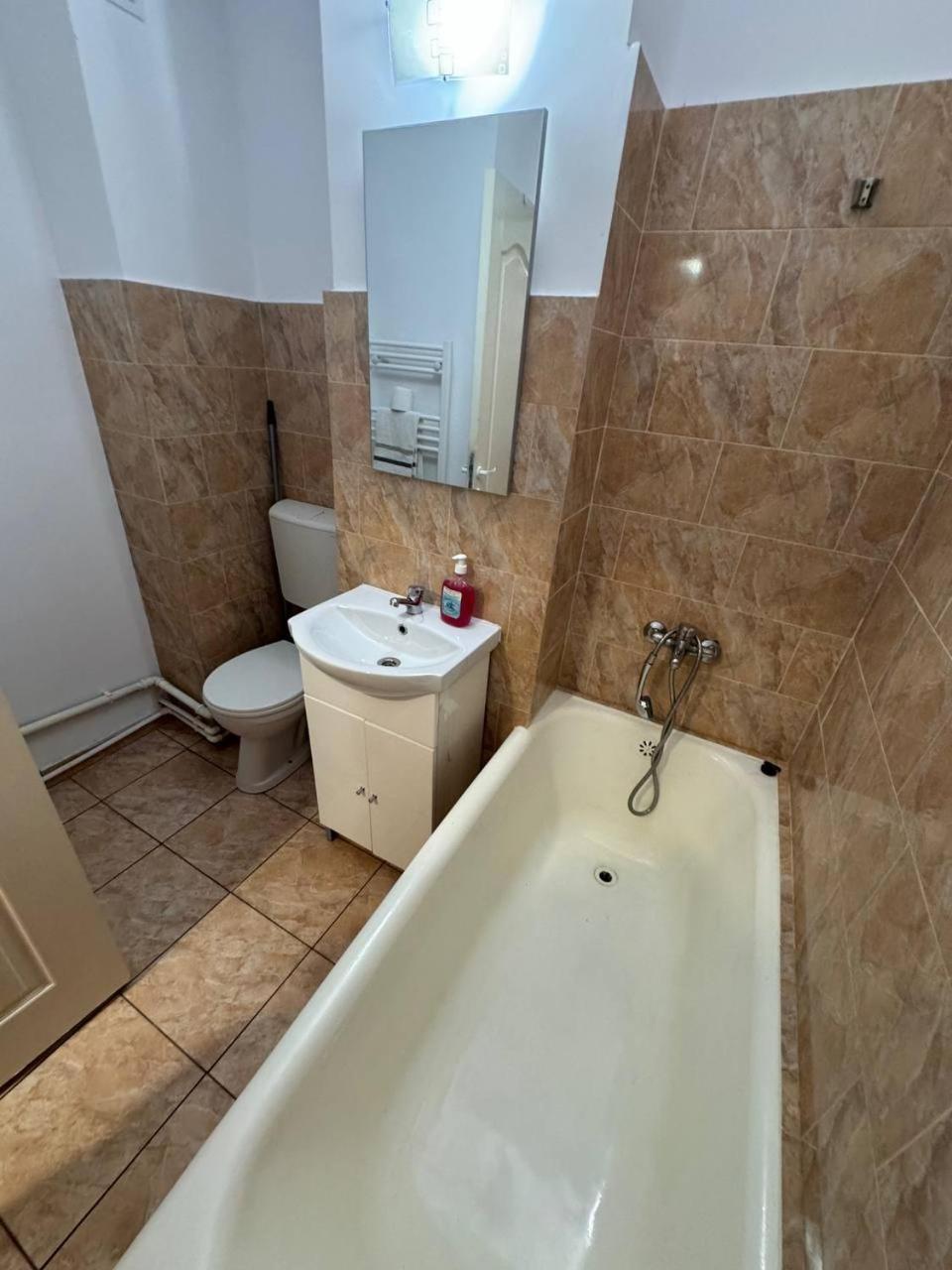 Affordable Apartment Close To The Castle Hunedoara Ngoại thất bức ảnh